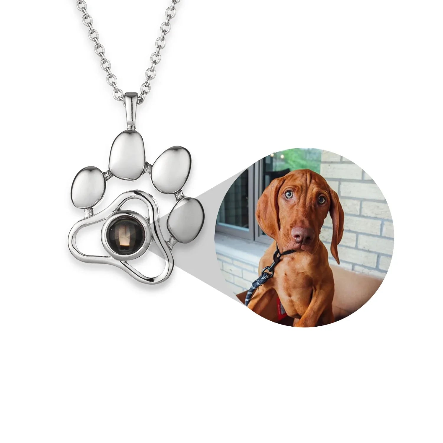 Collier souvenir de patte